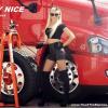 Photo for Truck Tire Express Inc.
