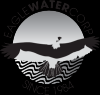 Photo for Eagle Water Corp