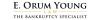 Photo for E. Orum Young Law