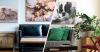 Photo for Canvas Prints on Demand
