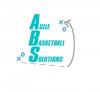 Photo for Agile Basketball Solutions, LLC