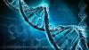 Photo for Biosimilars Market - Industry Analysis, Size, Share, Growth, Trends and Forecast to 2025