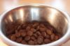 Photo for Asia Pacific Pet Food Market Driven by Increasing Purchasing Power & Rapid Urbanization