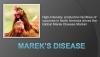 Photo for Marek Disease Market - Global Industry Insights, Trends, Outlook, and  Analysis, 2017–2025