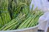 Photo for Asparagus Market - Global Industry Insights, Trends, Outlook and Opportunity Analysis, 2017-2025