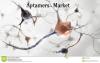 Photo for Aptamers Market to Surge Past US$ 10,407 Million by 2025 due to Widened Application Area