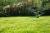 Photo for Keeping Florida Beautiful Landscaping