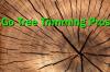 Photo for Go Tree Trimming Pros