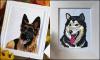 Photo for Embroidery Digitizing