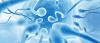 Photo for H2 Male Infertility 2017 – Industry Survey, Market Size, Competitive Trends and Forecasts