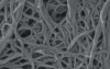 Photo for 3d Cell Culture Market Analysis by Technology, Application, and End User, Forecast 2025