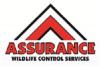 Photo for Assurance Wildlife Control