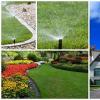 Photo for Salvador Sales Landscaping Design