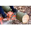 Photo for Southern Maryland Fellers Tree Service