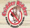 Photo for Cridder Ridder