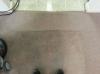 Photo for Annapolis Clean Carpet