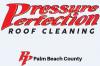 Photo for Pressure Perfection Roof Cleaning