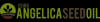 Photo for Using Angelica Seed Oil