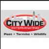 Photo for City Wide Exterminating