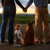 Photo for E-n-E Photography, Inc.