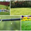 Photo for Daniels Gardening Service