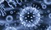 Photo for Global Nanoparticles Market - Trends, Outlook, 2024