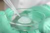 Photo for 3D Cell Culture Market NextGen Technological Advancements, Professional Survey & Industry Trends - 2025