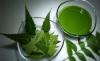 Photo for Global Neem Extracts  Market:  Trends and Opportunities for the Industry by 2019