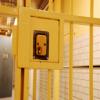 Photo for The Bail Bond Company LLC