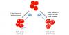 Photo for Cell Lysis Market - Global Industry Insights, Trends, Outlook, and Analysis, 2017–2025