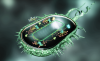 Photo for Synthetic Biology Market -  Trends,  2016-2024