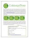 Photo for CabbageTree Solutions