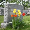 Photo for Care Center Cremation & Burial