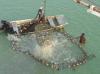 Photo for Global Aquaculture Market: Seafood Demand to Bolster Growth Globally