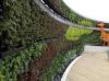 Photo for Rooftop Planters for Planting Greens