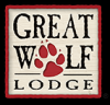 Photo for Great Wolf Lodge