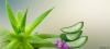 Photo for Homeopathy Doctors in India