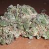 Photo for cbd oil,mari jane,pills, pain management and more