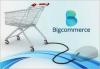 Photo for Insights from a Bigcommerce Developer