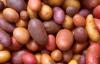 Photo for Global Biotech Flavor Market: Recent Study including Growth Factors, Applications, Regional Analysis, Key Players and Forecasts