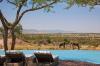 Photo for Safari In Tanzania: Tips To Enjoy The Safari