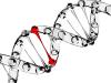 Photo for Recombinant DNA Technology Market-Trends, 2025
