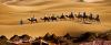 Photo for Morocco Desert tours