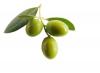 Photo for Squalane Market Analysis, Size, Share, Regions, Opportunities and Forecast Report 2017