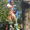 Photo for Trammell Tree Service