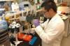 Photo for Global Clinical Laboratory Services Market: Companies Focus on Technological Advancements to Surge Ahead