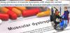 Photo for Muscular Dystrophy Treatment Market, By Product Type, Application - Industry Insights, Outlook, Opportunity Analysis, 2025