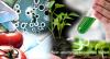 Photo for Next-generation Sequencing Market – Global Industry Insights, Trends, Outlook, and Analysis, 2016–2024