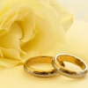 Photo for Texas Wedding Photographers