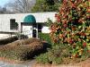 Photo for Gainesville Chiropractic Center- Dr. Cliff Griffin